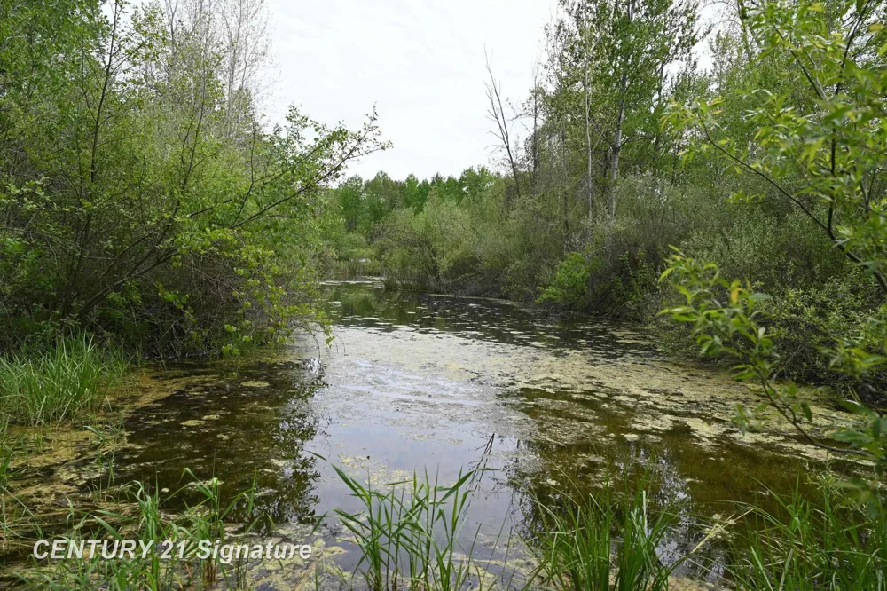 150 E Winegars Road Hay Township, MI 48624