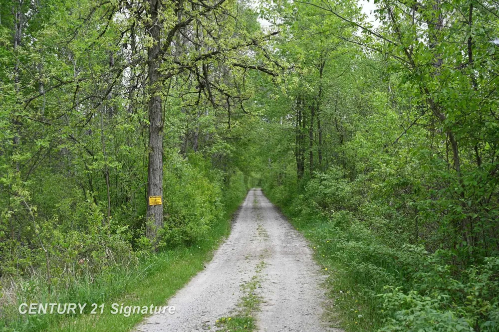 150 E Winegars Road Hay Township, MI 48624