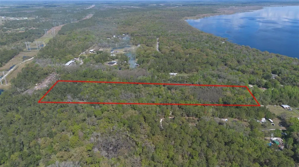 JUNGLE ROAD Geneva, FL 32732