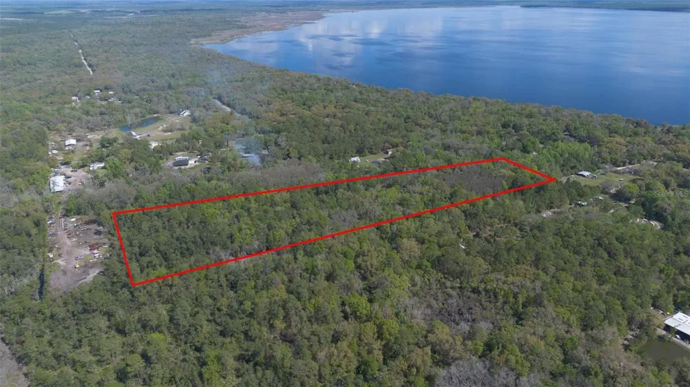 JUNGLE ROAD Geneva, FL 32732