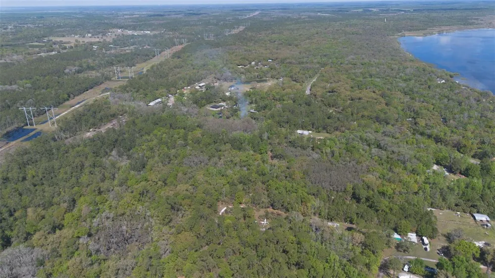 JUNGLE ROAD Geneva, FL 32732