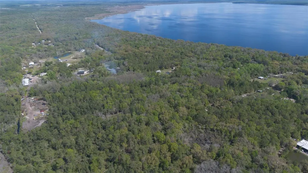 JUNGLE ROAD Geneva, FL 32732