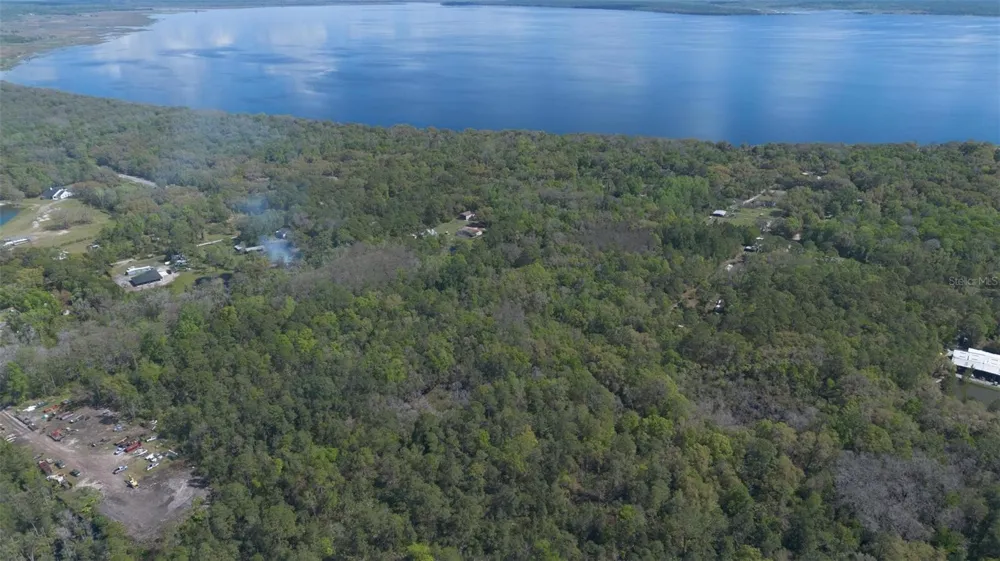 JUNGLE ROAD Geneva, FL 32732