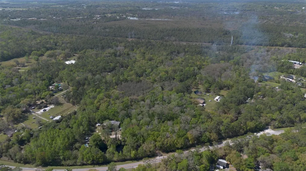JUNGLE ROAD Geneva, FL 32732