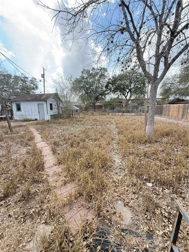1603 Pena Street Alice, TX 78332