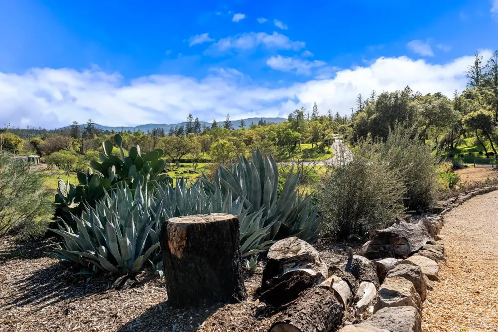 807 Deer Park Road St. Helena, CA 94574