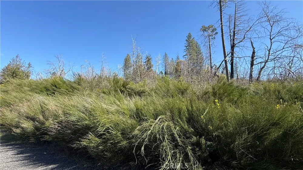 Starcrest Lane Berry Creek, CA 95916