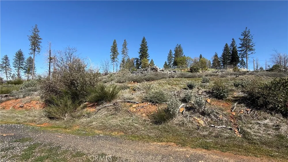 Starcrest Lane Berry Creek, CA 95916