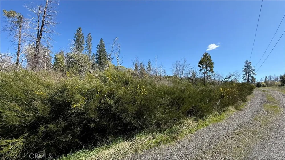 Starcrest Lane Berry Creek, CA 95916