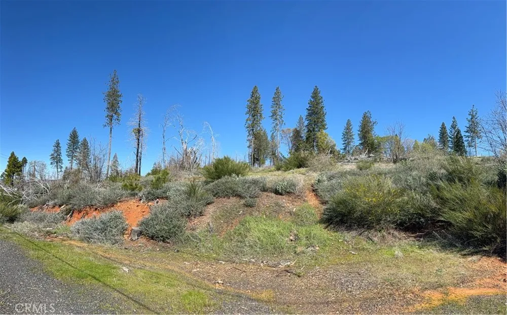 Starcrest Lane Berry Creek, CA 95916