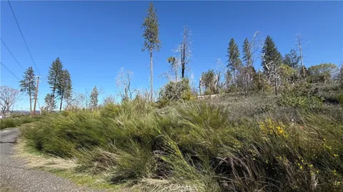 Starcrest Lane