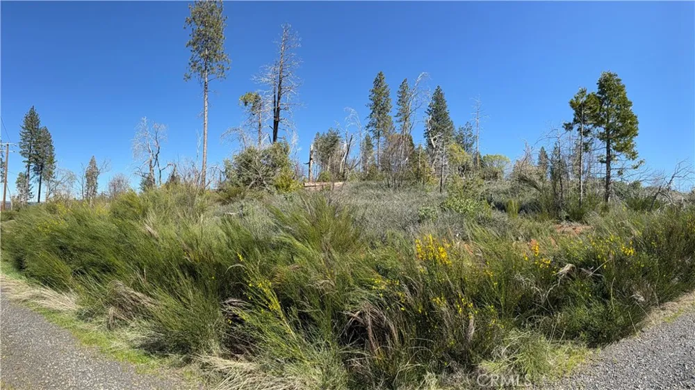 Starcrest Lane Berry Creek, CA 95916