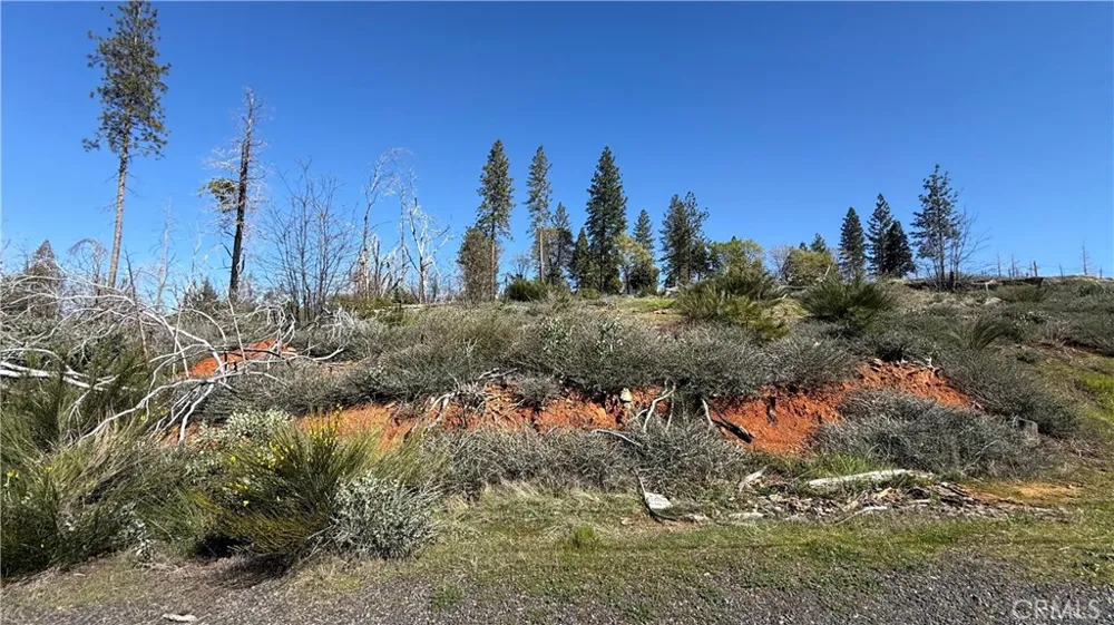 Starcrest Lane Berry Creek, CA 95916