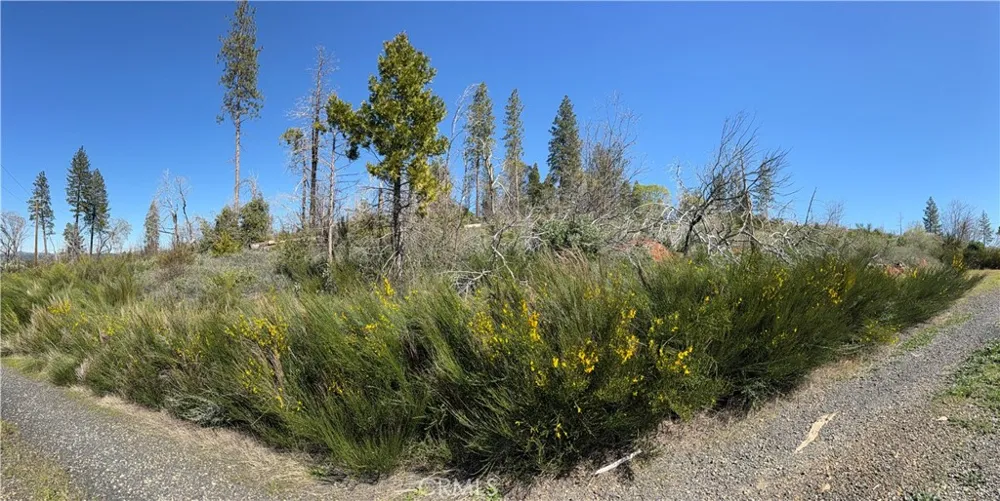 Starcrest Lane Berry Creek, CA 95916