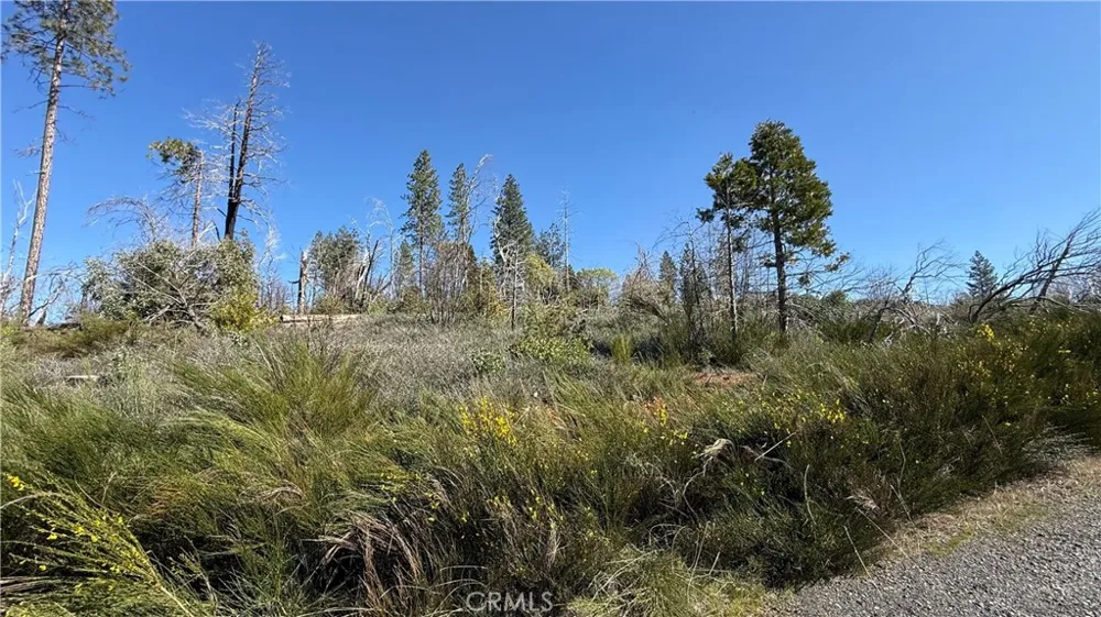 Starcrest Lane Berry Creek, CA 95916