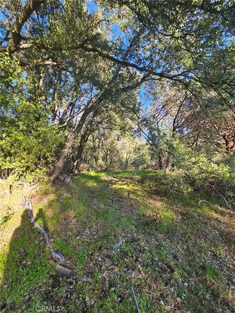 8 Road 225 North Fork, CA 93643