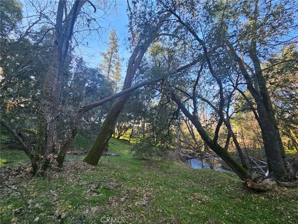 8 Road 225 North Fork, CA 93643