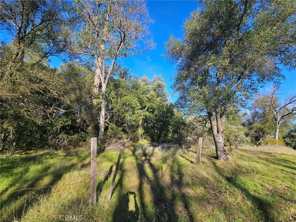 8 Road 225 North Fork, CA 93643