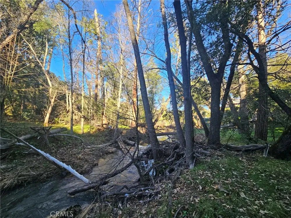 8 Road 225 North Fork, CA 93643