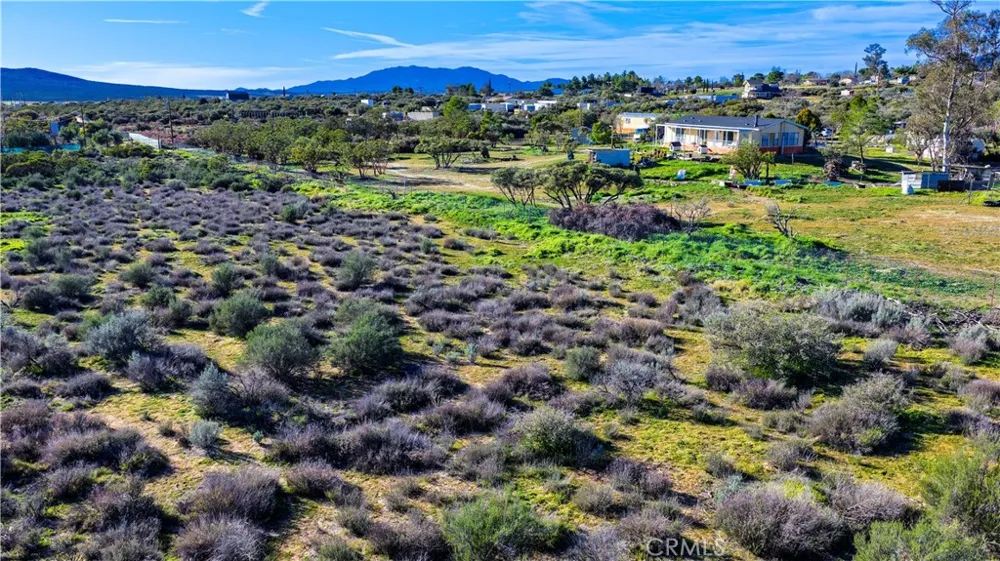 1 Apple Road Anza, CA 92539