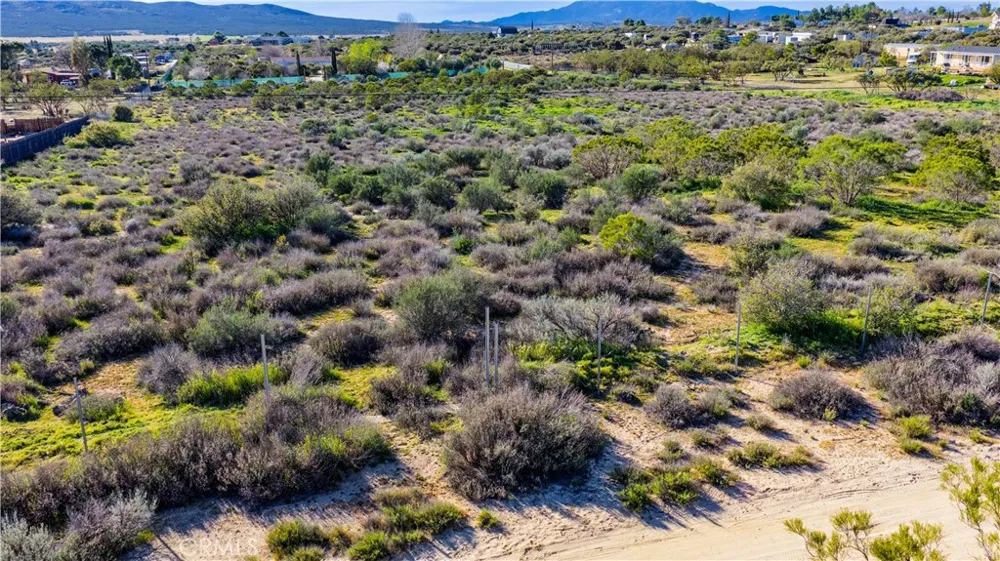 1 Apple Road Anza, CA 92539