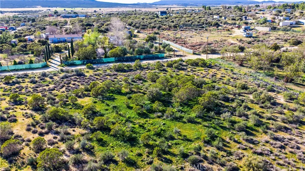1 Apple Road Anza, CA 92539