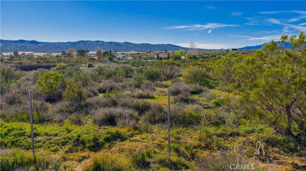 1 Apple Road Anza, CA 92539