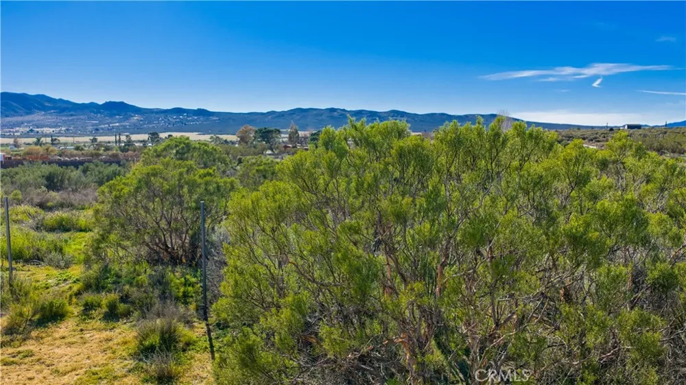 1 Apple Road Anza, CA 92539