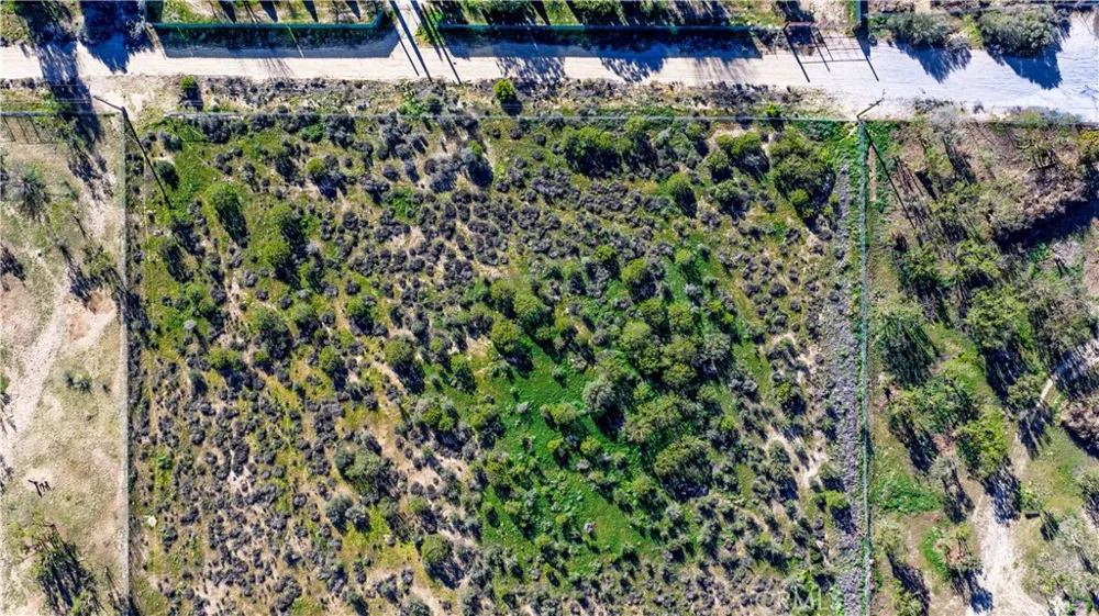 1 Apple Road Anza, CA 92539