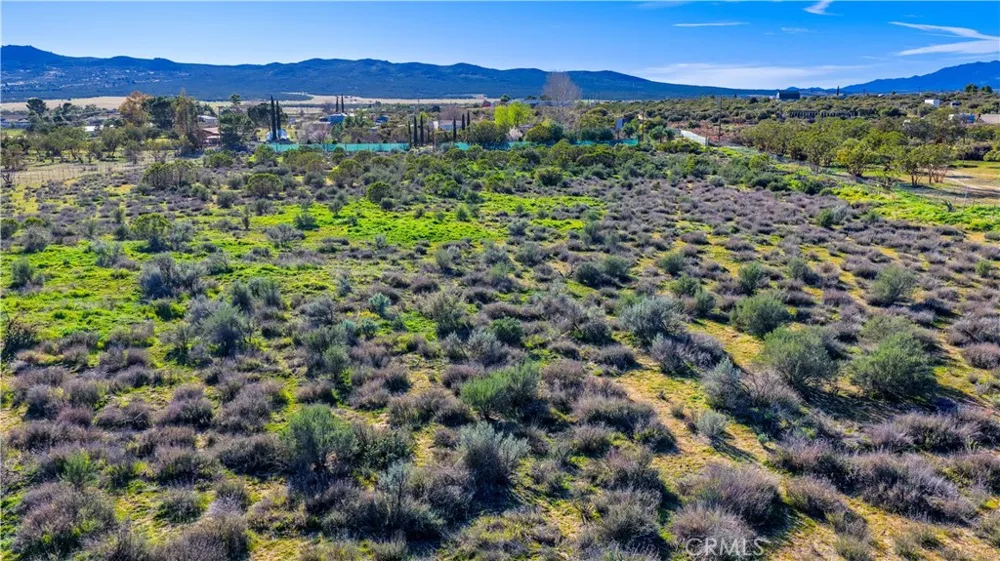 1 Apple Road Anza, CA 92539