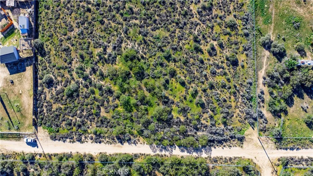 1 Apple Road Anza, CA 92539