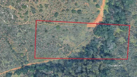 Indian Springs Road