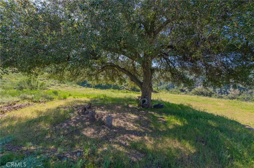 28741 Williams Canyon Rd. Silverado Canyon, CA 92676