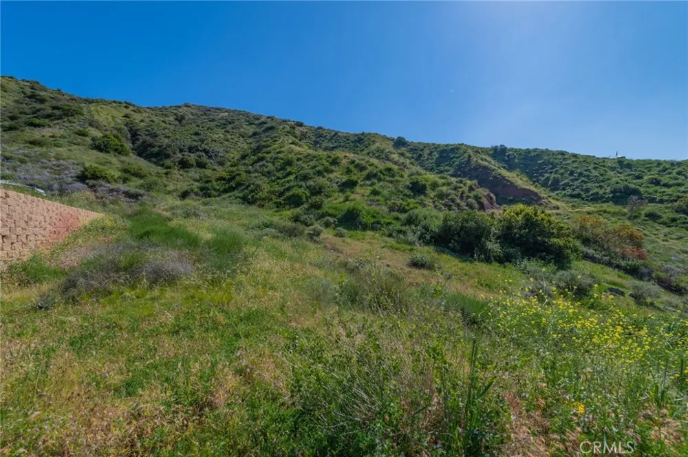 28741 Williams Canyon Rd. Silverado Canyon, CA 92676