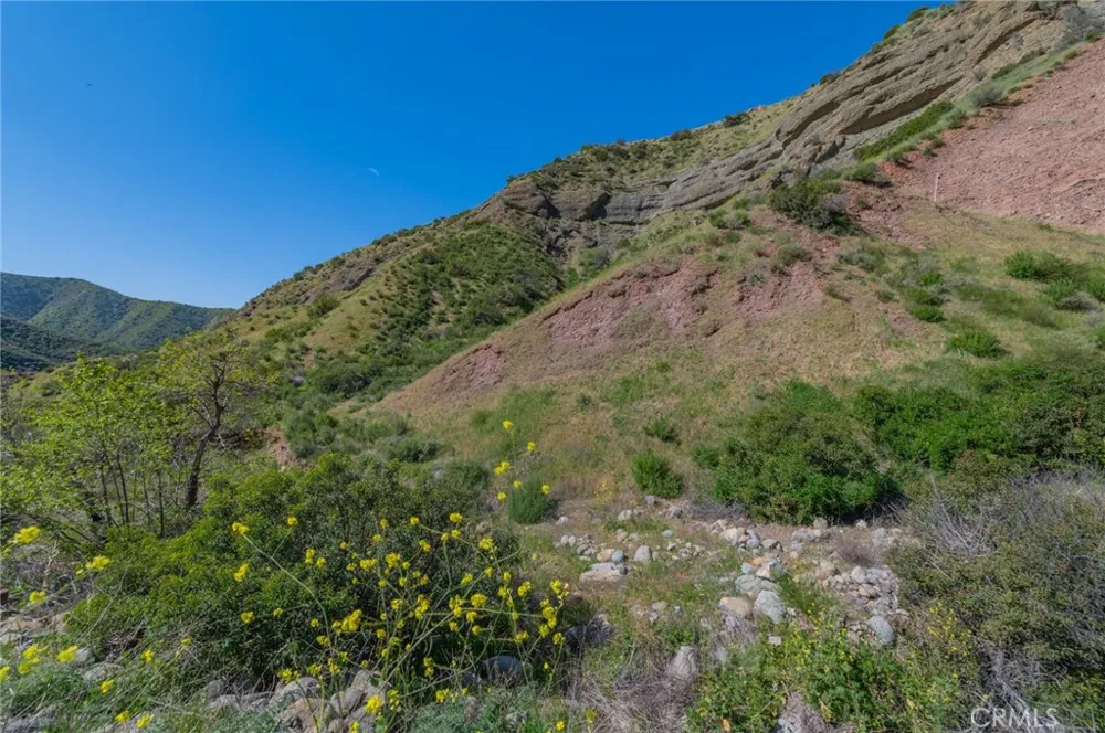 28741 Williams Canyon Rd. Silverado Canyon, CA 92676