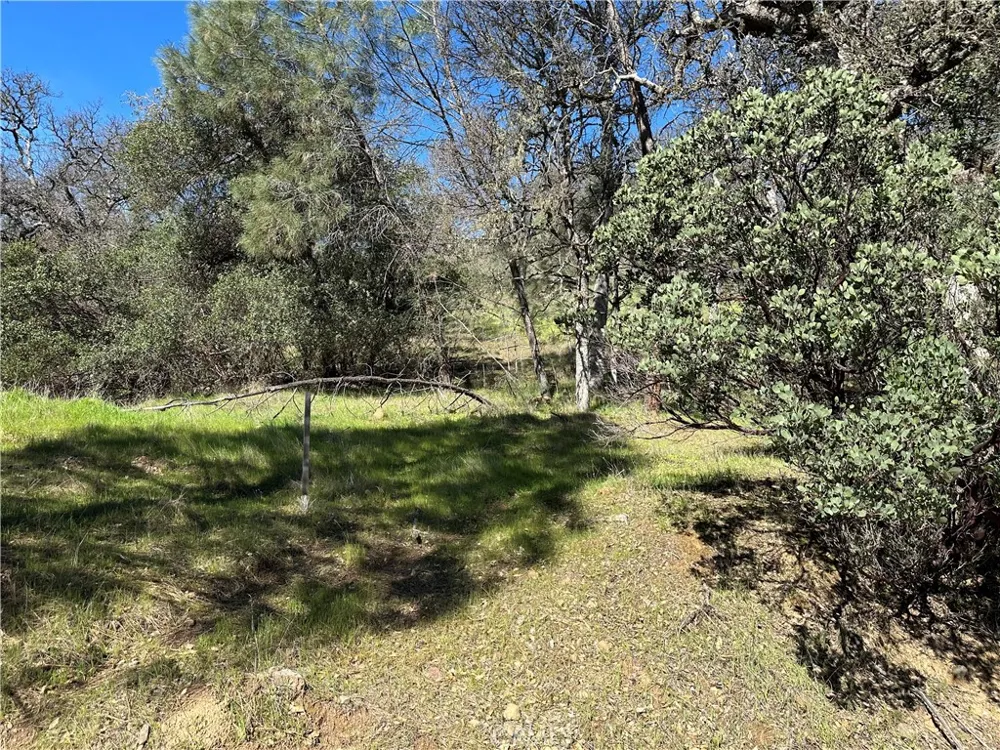 17509 Cache Creek Clearlake Oaks, CA 95423