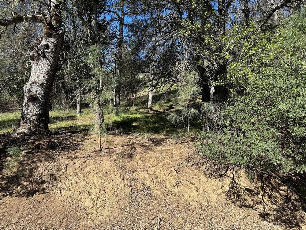 17509 Cache Creek Clearlake Oaks, CA 95423