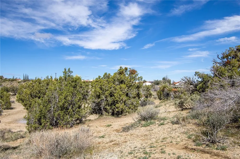 9486 Carmelita Circle Yucca Valley, CA 92284