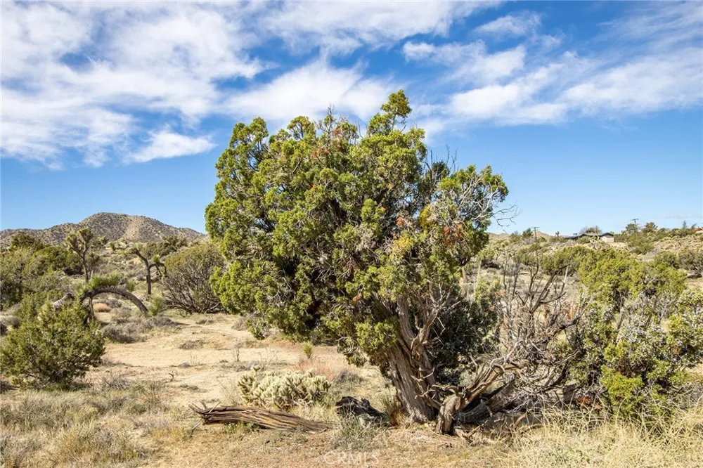 9486 Carmelita Circle Yucca Valley, CA 92284