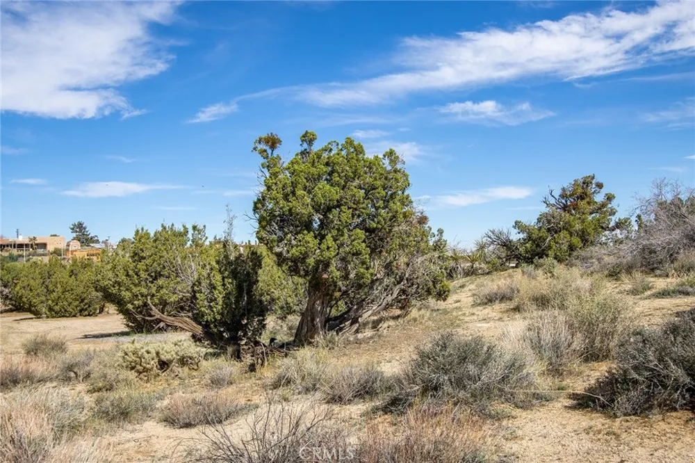9486 Carmelita Circle Yucca Valley, CA 92284