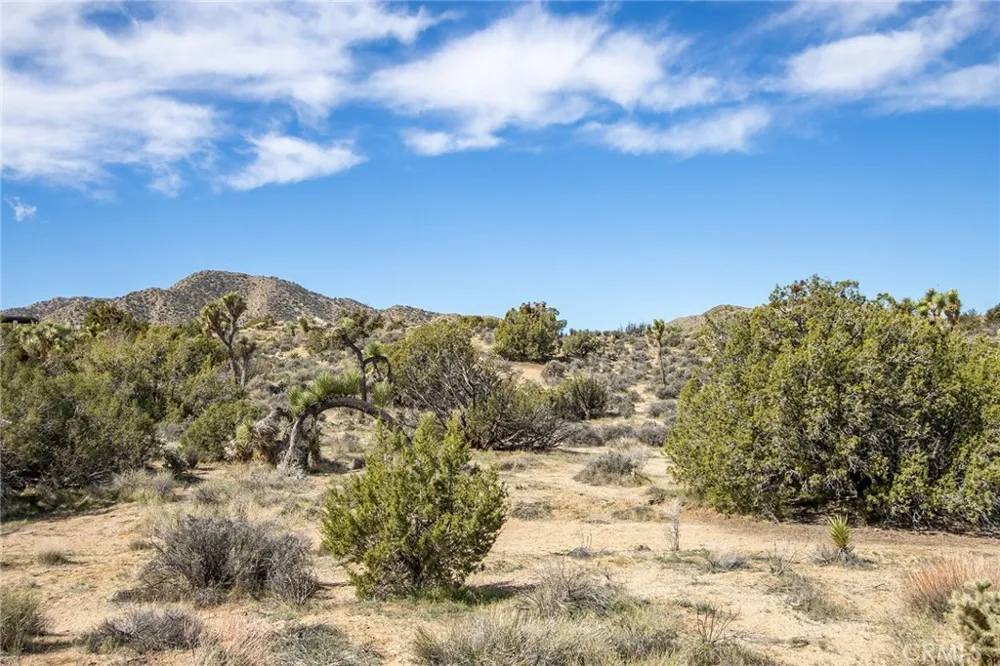 9486 Carmelita Circle Yucca Valley, CA 92284