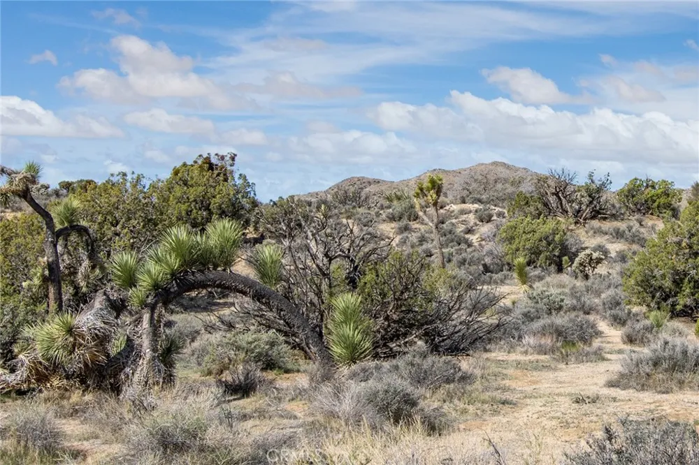 9486 Carmelita Circle Yucca Valley, CA 92284