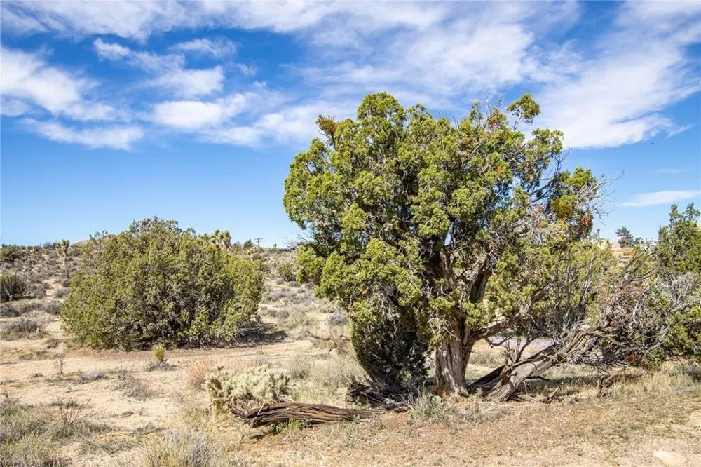 9486 Carmelita Circle Yucca Valley, CA 92284