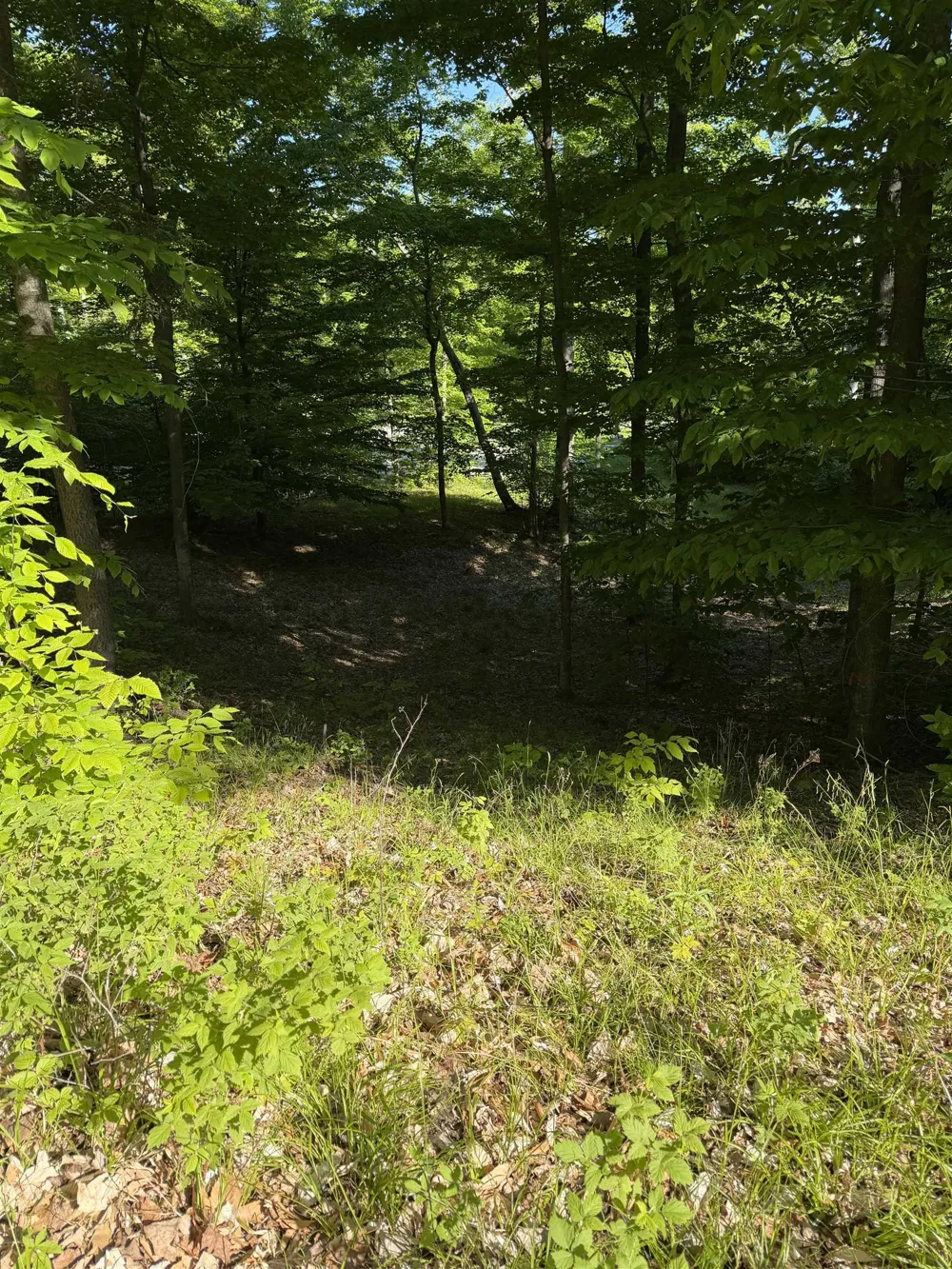 Old Trail Lake Township, MI 49635