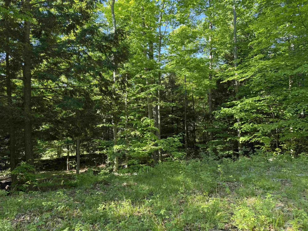 Old Trail Lake Township, MI 49635