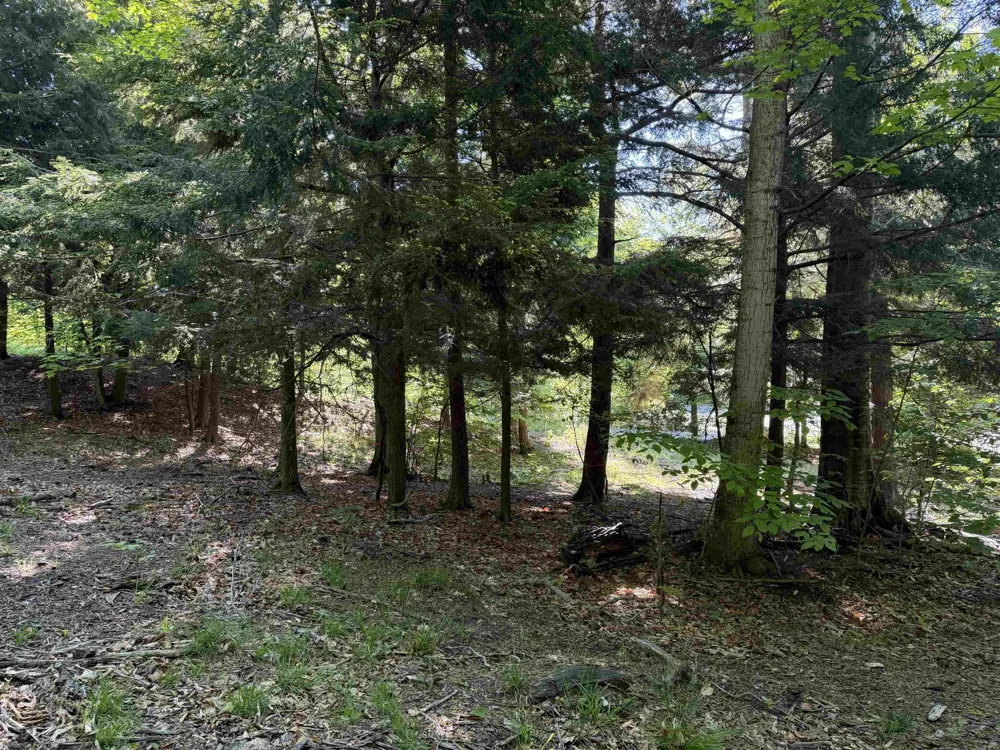 Old Trail Lake Township, MI 49635