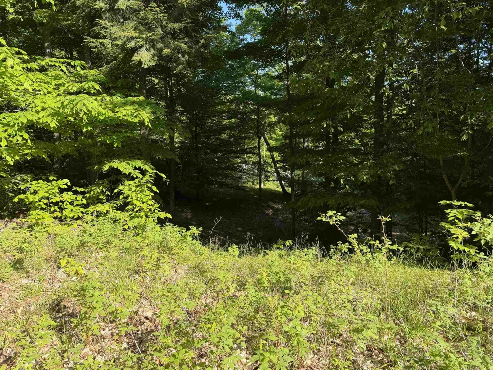 Old Trail Lake Township, MI 49635