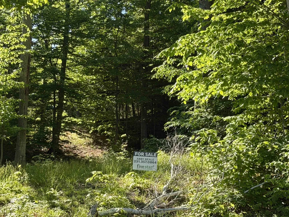 Old Trail Lake Township, MI 49635
