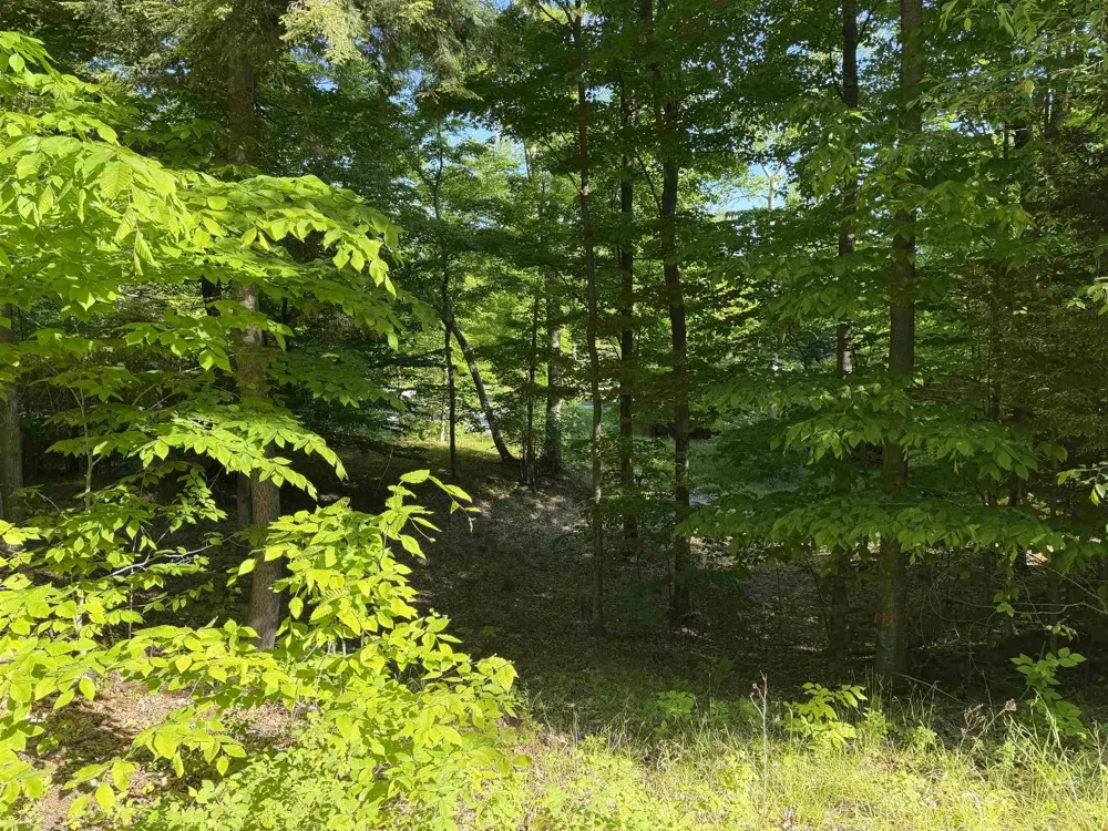 Old Trail Lake Township, MI 49635