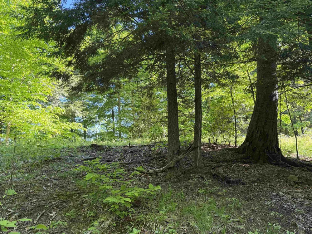 Old Trail Lake Township, MI 49635